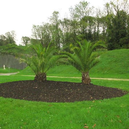 Les Victoriennes Bed & Breakfast Verdun-sur-Meuse Екстериор снимка
